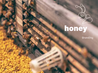 Honey Bunny Branding 🐻🍯