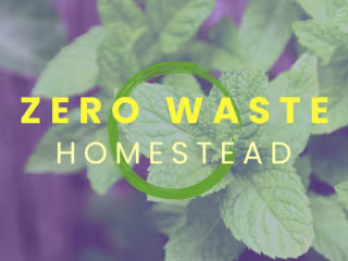 Lauren Landers, Writer at ZeroWasteHomestead.com