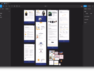 How Kiwi Peng Leveraged Notion to Built Her website