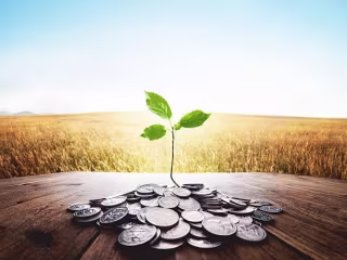 Investing 101: Planting Seeds of Wealth