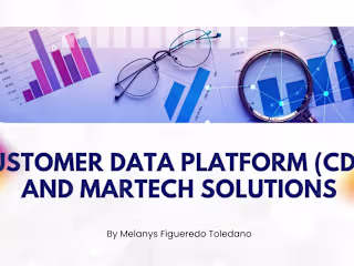 Customer Data Platform (CDP) Implementation + MarTech Use Cases
