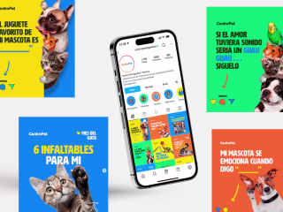 Concept, Presentation & Social Media Design