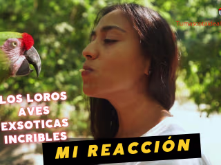 Video para youtube de pagina web Tumascotaideal.com