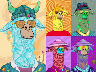 Lama 2D NFT 