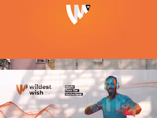 Wildest wish tv Brand Identity and Animation :: Behance