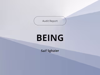 Audit Report: BEING Project