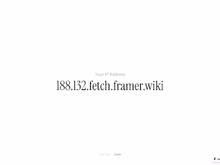 Framer Fetch Feature Exploration