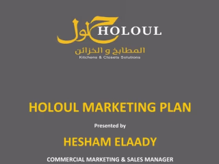 Professional marketing plan for Holoul (kitchen and cabinet)