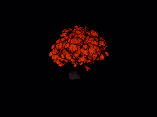 3D Simulations 