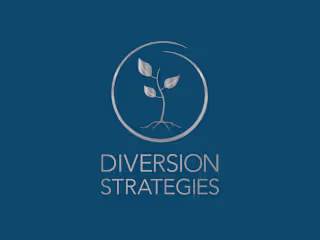 Diversion Strategies | Brand Identity 