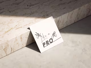 Logo design - 'Like a pro'