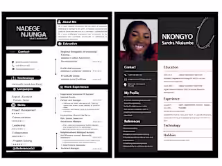 Curiculum Vitae (CV) Designs