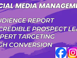 Setup Facebook, Instagram, and LinkedIn Ads to Generate b2b lead