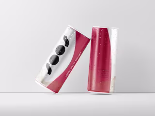3d Mockup Designs
