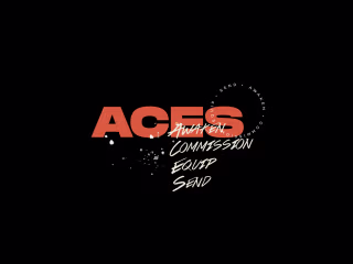 ACES School Branding