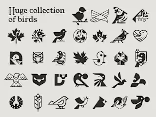 Huge collection of birds /2023
