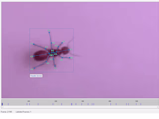 Built a Computer Vision object detection and tracking model