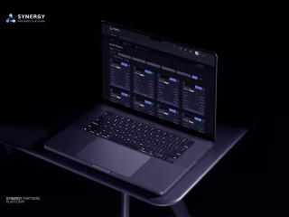 Synergy Partners Platform design 