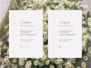 Certificate for SMM-mentor and target expert on Behance