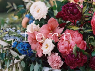 Fern | Small Business Flowers Shopify Store development