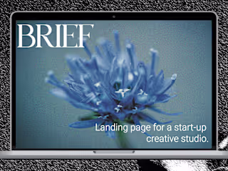 Blue Orchid - Web Design