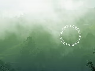 Guarnewood - Taller creativo de producción audiovisual.