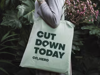 CO2HERO  | Drive Carbon-Friendly Actions