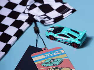 Posh Peanut x Hot Wheels