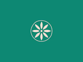Noor Wellness Retreat Visual Identity