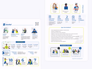 Brochures, Infographics & Reports