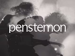 Penstemon - Indie Rock Music Label on Behance