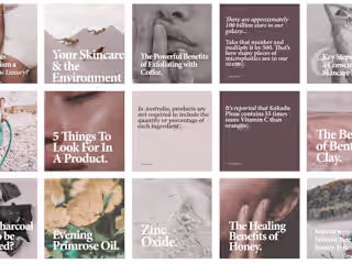 Noema Blog Posts