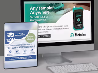 Scroll-Stopping Social Media Designs