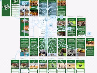 An App for Hogle Zoo
