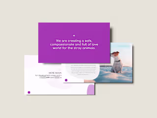 Pitch Deck