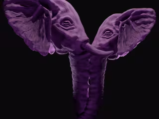 Elephant Couple