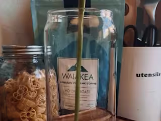 Waiākea X Wonnuri