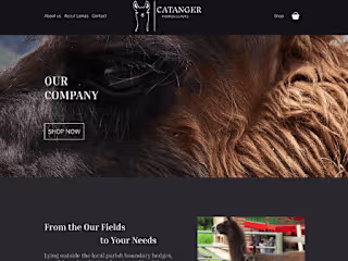 High end sales website