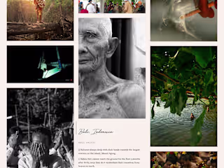 TracingThought: Video/Photo Journalism Custom Squarespace Site