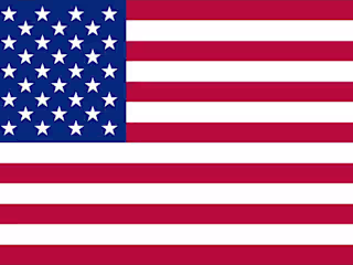 US elections