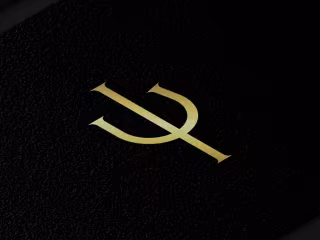 Lapsea-Logo Design project