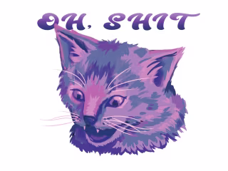 Graphic Design / Illustration