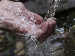 Water
