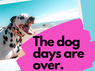Instagram Copy — Pawse, the Pet Insurance Company