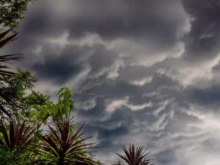 What Are the Effects of Acid Rain?
