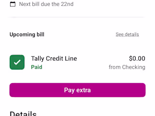 Tally Technologies Inc.