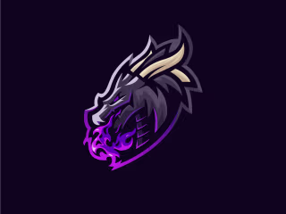 Animation Logo