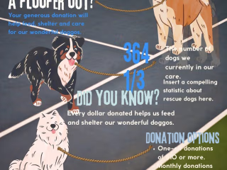 proessional infographics design