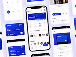 Paymoon — Concept