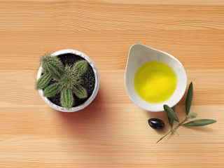 Jleo's ✕ Brand Identity